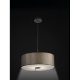 Up and Down Pendant in Satin Nickel