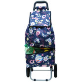 Canal Shopping Tote