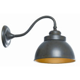 Dark Sky One Light Large Wall Sconce in Bronze