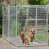 Lucky Dog Best in Show Gate
