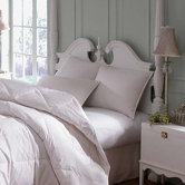 Astra  Innofil Pillow