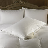 Intera Medium Dual Filled Pillow