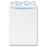 Grip-Seal Security Tinted Catalog Envelopes, 10 x 13, 28lb, White Wove, 100/Box