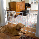 Cardinal Gates Safety Gates