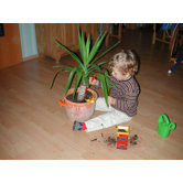 20" Plant Protector in Brown