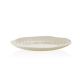 Platewise 10.5" Organic Plate (Set of 6)