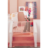 Wide Stairway Swing Gate