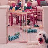 Wide Wire Mesh Gate
