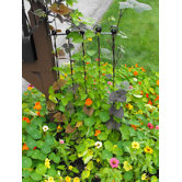 Adjustable Height Trellis