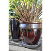 Plant Stand With Wheels