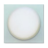 RS10-5 Internal Sensor Light