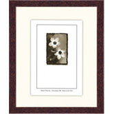Architect Picture Frame