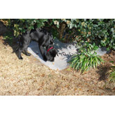 No-Dig Plant / Yard Guard