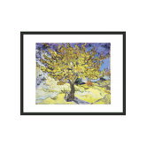 Mullberry Tree by Van Gogh Framed Print - 11" x 14"