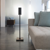 Adjustable Speaker Stand (Set of 2)
