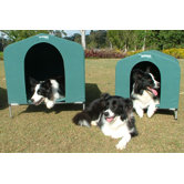 Collapsible Dog House in Green
