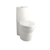 Saile Elongated One-Piece Toilet with Dual Flush Technology