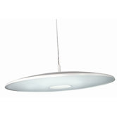 1 Light Pendant