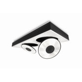 Circulis 2 Light Flush Mount
