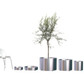 Nox Flora Planter on Castors