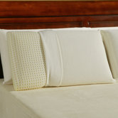 Sleep Science Ventilated Pillow