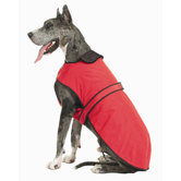 Belted Dog Coat in Red