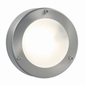 Moss Wall Flush Mount