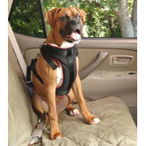 Pet Vehicle Safety Harness