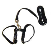 Harness And Lead Set