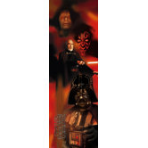 Star Wars Dark Side Panels