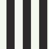 Silk Stripe Wallpaper in Black / White