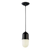 1 Light Pendant