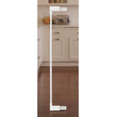 Standard 2.75" Extension