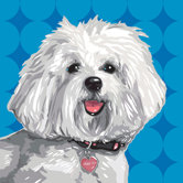 Pooch D&eacute;cor Havanese Portrait