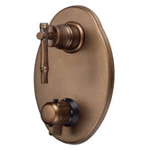 South Sea Two Handle Thermostatic Faucet Shower Faucet Trim Only