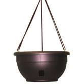 12" Self-Watering Hanging Planter