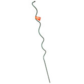 Gardman USA Trelisses