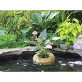 Clear Water Barley Straw Pond Treatment