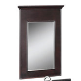 24" x 36" Portrait Vanity Mirror in Espresso