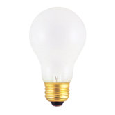 A19 High Voltage Light Incandescent Bulb