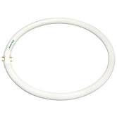T5 Circline 2GX13 Base Fluorescent Bulb