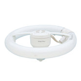 T5 Circline Quad Compact Fluorescent
