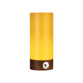 Capri 1 Light Table Torchiere Light