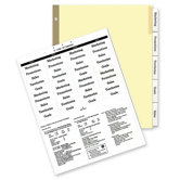 Insertable Ring Book Indexes, 5-Tabs, 11"x8-1/2", Clear