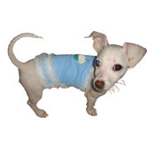Blueberry Cupcake Dog Tank