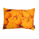 Pumpkins Pillow