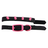 Genuine Leather Cat and Puppy Collar with Spikes