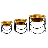 Olympic Diner Stand with Rimmed Embossed Dog Bowl