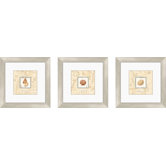 Sea Treasure Framed Art (Set of 4)
