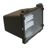 2 Light Outdoor Flood light